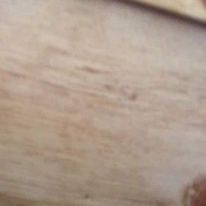 Meet your Posher, Ethan